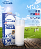 荷兰进口牛奶1L*6盒 Globemilk荷高全脂牛奶纯牛奶高钙奶6盒整箱-tmall.hk天猫国际