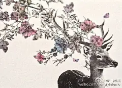 森林物语～插画~彩铅～水彩～鹿