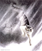 徐新奇工笔画作品《猫》