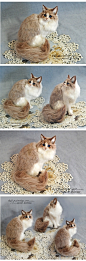 pretty needle felted cat