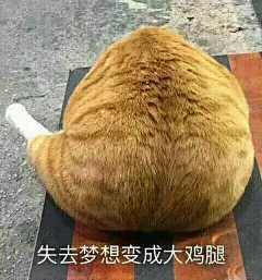 悸•采集到搞笑