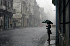 弑纱采集到雨