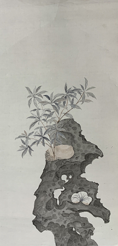 雨晓1采集到工笔画