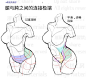 （汉化版）最好用的人体解剖日本 漫画素材工房极少有的汉化版5000p-书籍教程-微元素 - Element3ds.com!