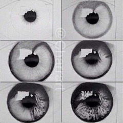 虚胖儿采集到绘画