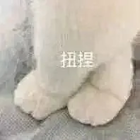 表情包（图源网络，侵删）