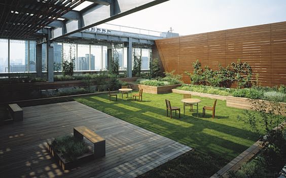 Rooftop terraces at ...