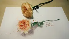 悲伤天生是要被努力节制的-Zgoudan_手绘,插画,水彩,写生,清新,练手_涂鸦王国插画