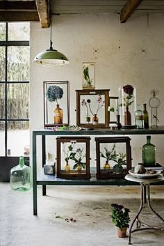 Botanical flowers ba...