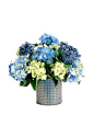 Creative Displays Blue & Green Hydrangea in Ceramic (Blue/Green) #centerpieces: 