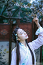 #汉服摄影大赛#  劝君莫惜花前醉。今年花谢，明年花谢，白了人头。 出境：@三只松子  摄影：@莲生初六  抄送：@重回汉唐汉服店 @汉服荟 @古风圈网站 @汉服晴空 @汉服村 @汉服视觉 @尸兄秦晋游  @微相册 @汉服摄影