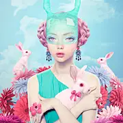 好养活的猫