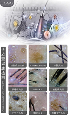发根-花瓣网|陪你做生活的设计师 | wRpIGXIg (1220×1220)