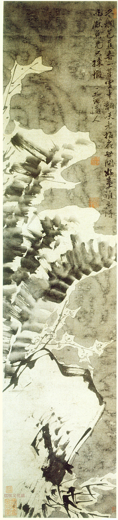 汪大胆胆胆采集到明代
