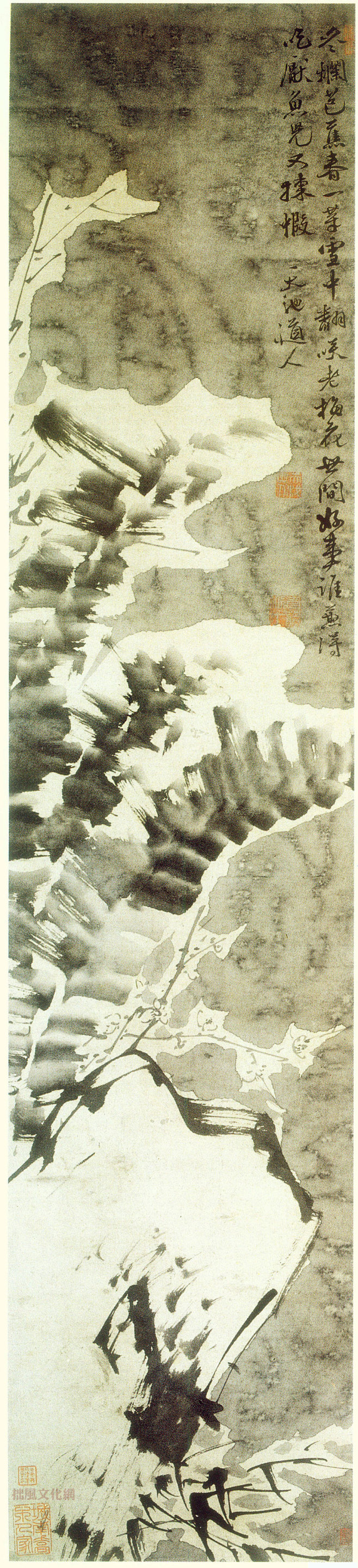 徐渭《雪蕉梅竹图》(900×3941)