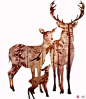 画芯喷绘北欧麋鹿一家无框画现代客厅餐厅装饰画创意简约玄关挂画-淘宝网