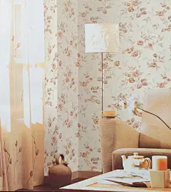 壁纸让你的墙面华丽丽(12)