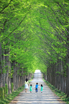 悠然见南山采集到旅行