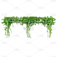 Angled pergola front view