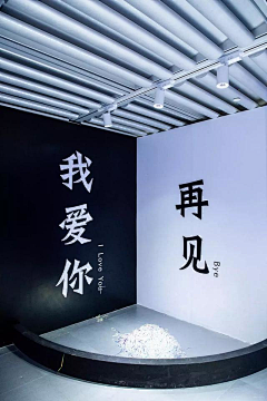 我有三只喵采集到有趣