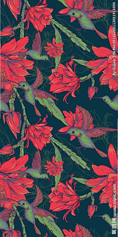 咏子禾Hedy采集到水彩/彩铅／植物类插画