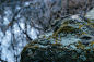 cold, environment, fall, granite, landscape, lichen