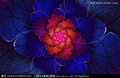 抽象花朵鲜花大花朵花朵墙贴炫彩花浪漫花朵花朵装饰画花朵背景墙梦幻花朵花朵壁纸墙纸唯美花朵盛开绽放漂亮美丽花纹图案花卉