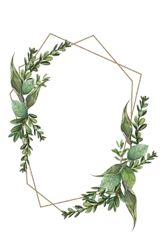 植物叶子树叶 免扣装饰PNG素材