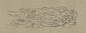 0117_佛像_敦煌莫高窟壁画线描人物稿01-莫高窟390窟隋飞天伎乐_4991x1908PX_TIF_450DPI_37_0