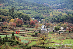 Rangerlin采集到【塔川】静美之秋---走