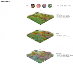 花绽采集到J-景观方案文本