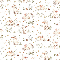 viviaaaaaa采集到动物插画