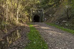小路,隧道,公园,褐色,休闲活动,水平画幅,枝繁叶茂,山,泥土,铁轨轨道
