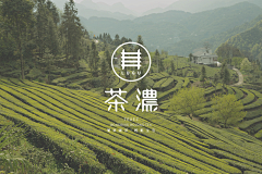 Cassie是绯红色的采集到中式logo