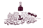 Hand drawn grape illustrations : Hand drawn grape illustrations