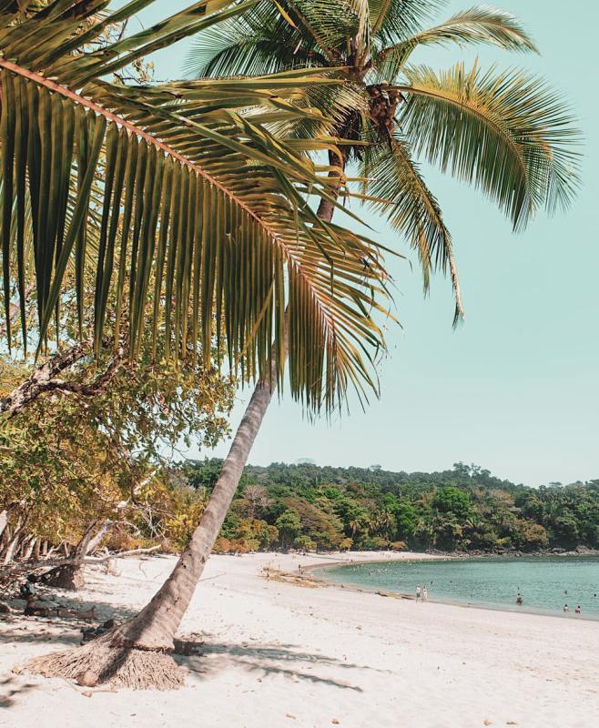 夏天|海边|旅游|沙滩|壁纸|背景