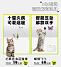 allforpaws宠物用品旗舰店