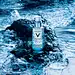 VICHY MINREAL 89 : Photographie Vichy Mineral 89