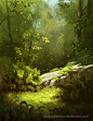 树林插画景