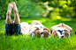 快乐的孩子躺在户外的春天公园的绿草上的组