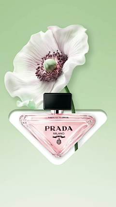 贵圈宝藏采集到A-PRADA ｜普拉达