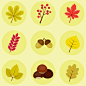 How to Create Autumn Leaves, Berries and Chestnut Icons in Adobe Illustrator - Tuts+ Design & Illustration Tutorial: 