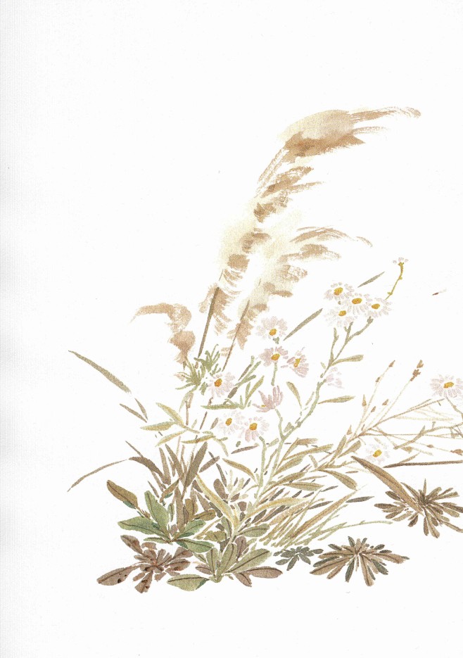 诗经草木绘 古风水彩植物手绘技法_21