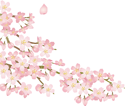 桃花樱花PNG