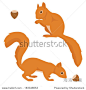 two vector squirrels isolated...