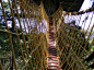 印度 喀拉拉邦：魔幻绿野度假村(GREEN MAGIC RESORT)该度假村的树屋高115英尺，到达树屋最快的方式就是乘坐藤制“电梯”，这种“电梯”利用了配重物的重力将旅客送至树屋，看上去就像一只悬挂在粗大树枝上的鸟笼。