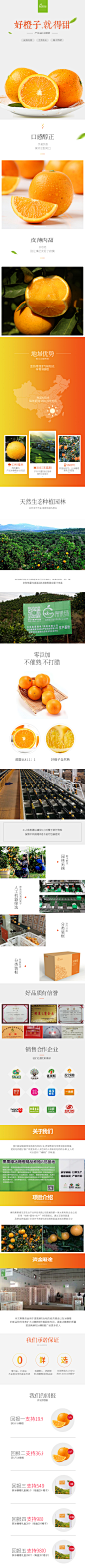 橙子，水果详情页