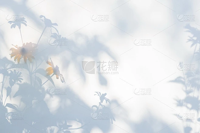 白色半透明的布上的花的影子素材 花瓣网 