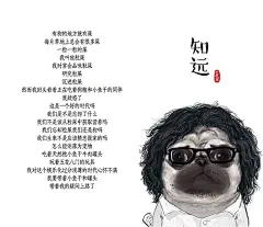 吾皇漫画@梦不落丶雨林收集_花瓣 吾皇的白茶的照片 - 微相册_2170169144.jpg