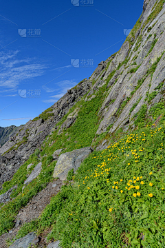 喵了个咪的昵称竟然已经存在了采集到A场景—山脉